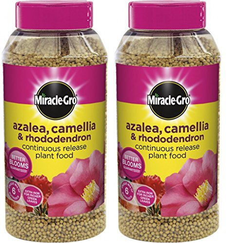 2 x Azalea Plant Food Jar 1Kg