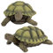 Design Toscano Gilbert, die Boxschildkröte Gartendeko Tierstatue, Polyresin, Vollfarbe, 22,75 cm, 2er Set
