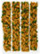 Cake Company Karotten/Rübli Marzipan 1er Pack (1 x 725 g)