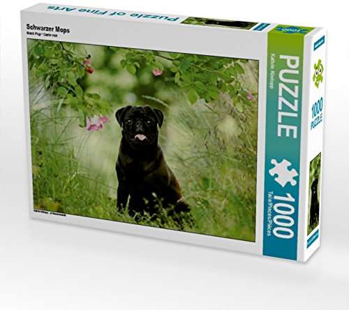 CALVENDO Puzzle Schwarzer Mops 1000 Teile Puzzle quer | Lege-Größe cm Foto-Puzzle für glückliche Stunden