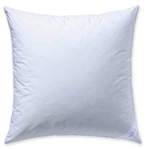 Billerbeck 5453290006 Kissen E45 Bamboo N, circa 60 x 80 cm