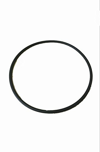 Dick Kolbendichtung - Dichtung für Wurstfüller vor Bj. 1996 - 9Liter Modell 165 x 5 mm