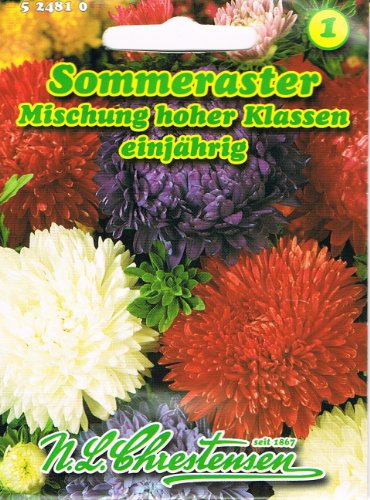 Sommeraster Mischung Hoher Klassen Callistephus chinensis Astern