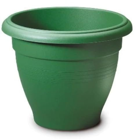 Stewart 2016019 40 cm Palladian Planter - Green