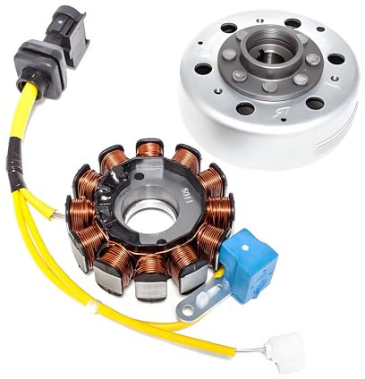 Komplette Lichtmaschine (Ankerplatte & Polrad) für Leader 4T 125 - 200 m - orig. für
