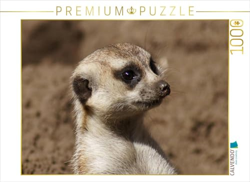 CALVENDO Puzzle Erdmännchen (Suricata suricatta) | 1000 Teile Lege-Größe 64 x 48 cm Foto-Puzzle für glückliche Stunden
