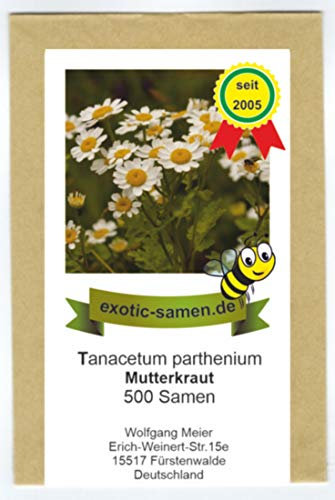 Mutterkraut - Tanacetum parthenium - Bienenweide - Falsche Kamille - Fieberkraut - Arznei- + Zierpflanze - 500 Samen