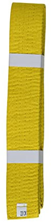 Lisaro kampfsportgürtel Karate Judo Taekwondo Ju Jutsu BJJ Gürtel Gr. 160-300 cm (gelb, 240)