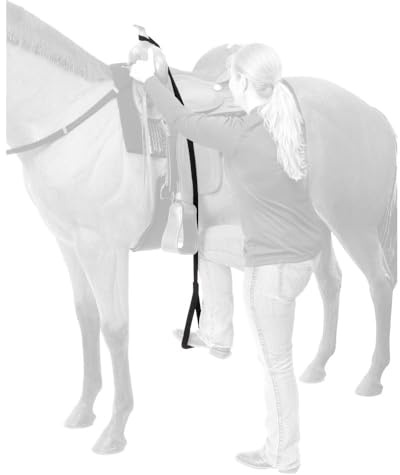 Tough 1 Stirrup Mounting Aid