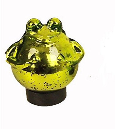 Unbekannt Schwimmfrosch grün glänzend mittel