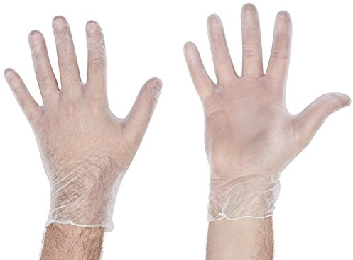 Everyday Clear Vinyl Powdered Gloves, Medium, 100 Gloves