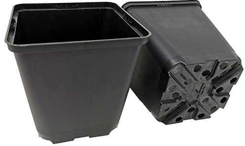 GREEN24 40 Stck. Pflanztöpfe 13x13x13cm Vierecktopf Profi Anzuchttopf Pflanztopf Blumentopf Vierkant-Töpfe (40, 13x13x13)