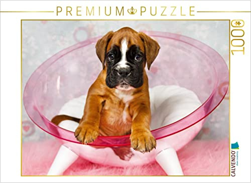 CALVENDO Puzzle Knuddelalarm - Boxerbaby | 1000 Teile Lege-Größe 64 x 48 cm Foto-Puzzle für glückliche Stunden