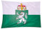 Fahnen Kössinger, Hissflagge im Querformat, Fahne Bundesland Steiermark, Hissflagge mit Wappen, hochwertiger Siebdruck, brillante Farben, weiß-grün, reißfest, 200 x 120 cm, 2,4 m² Fläche