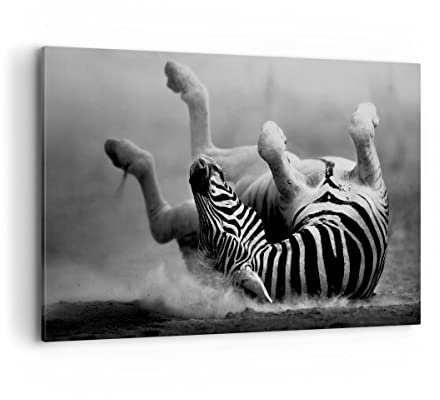 Wandbilder Dekoration Wohnzimmer Zebra Streifen Tier wild Bilder auf Leinwand 120x80cm Leinwandbild Schlafzimmer Küche Deko Wand Kunstdruck Art Groß XXL Wanddeko Bild Wall Decor Canvas AA120x80-2699
