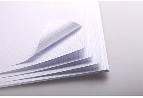 Clairefontaine 93325C Mappe Bristolkarton (25 Blatt, 205 g, 50 x 65 cm, kariert) weiß