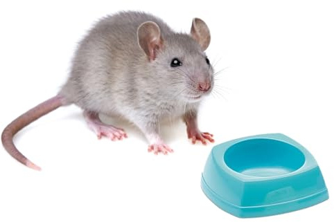 Heim 5120 Hamsternapf