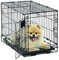 MidWest Homes for Pets Life Stages Modell 1622 Hundebox, sehr klein, Einzeltür, faltbar, Metall, 58 cm lang, mit Trenneinsatz, Bodenschutz, auslaufsicherer Wanne, für sehr kleine Hunde, schwarz