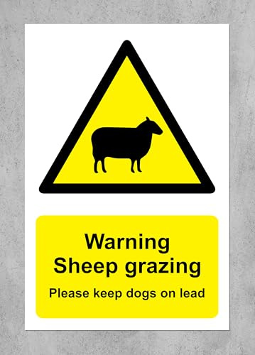 WARNING SHEEP GRAZING PLEASE KEEP DOGS ON LEAD SIGN - LARGE RIGID PVC WATERPROOF