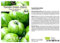 Seedeo® Tomate Green Zebra (Lycopersicum esculentum) 25 Samen BIO