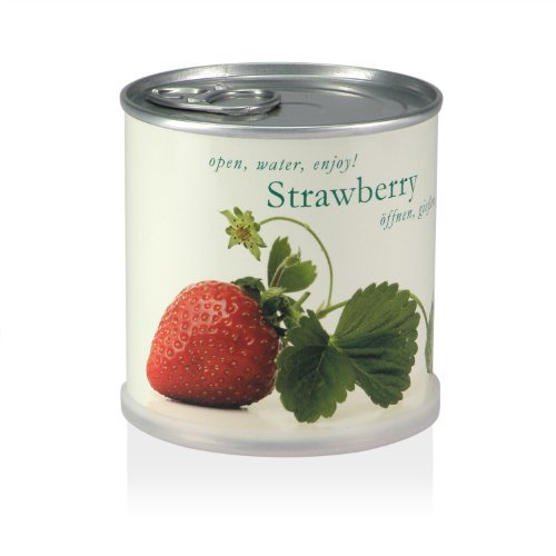 MacFlowers® | Kleines Anzuchtset mit Erdbeeren | Nachhaltiges Geschenkset mit Einer Sorte Samen in süßer instant gardening Blumendose