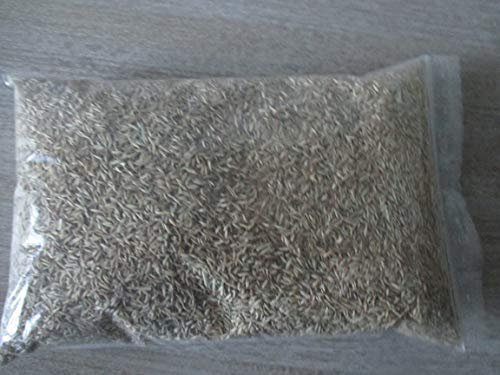 Bird-Box Knaulgras Inhalt 250 g