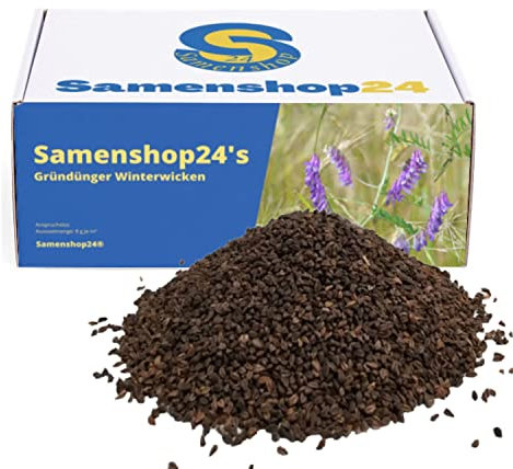 Samenshop24® Winterwicken Vicia villosa, Inhalt: 1kg für ca. 125m², Gründüngung, sehr dichte Bodenbedeckung, gute Vorfrucht, auch als Winterzwischenfrucht