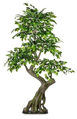 Albero artificiale della foresta Ficus alto circa 170 cm su base – Grande albero di ficus con tronco nodoso in materiale PE