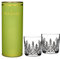Lismore Tumbler (Set of 2)