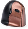 BakkerElkhuizen BNEEVR4SW Souris Verticale Ergonomique Noir