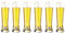 Warsteiner Bierglas 6er Pack