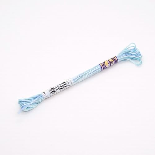 DMC Colour Variations Embroidery Thread 4020 - per Skein