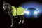 Kerbl Unisex Sikkerhedstæppe Reflekterende Sicherheitsdecke, Neongelb, 135 cm EU