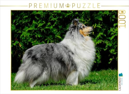 CALVENDO Puzzle EIN Motiv aus dem Kalender Sheltie 2017 | 1000 Teile Lege-Größe 64 x 48 cm Foto-Puzzle für glückliche Stunden