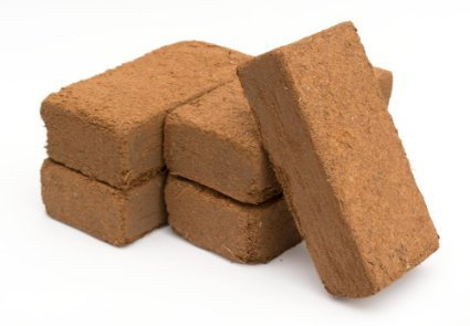 Wormcity Coir Briquette x 5, 9L Compost Block, Seedlings, Reptile/Snail Bedding