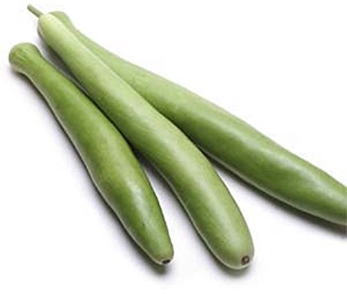 Snake Gourd - Edible Vegetable 10 Seeds - Lagenaria longissima