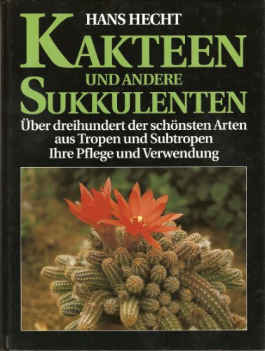 Kakteen und andere Sukkulenten