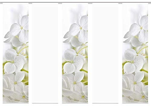 wohnfuehlidee 5er-Set Flächenvorhang, Deko Blickdicht, Padua, Höhe 245 cm, 3X Dessin /2X Uni transparent