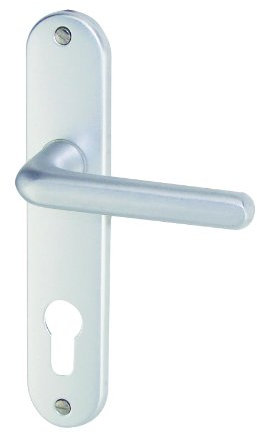 DT 2000 708835 Tignes Poignée de porte sur plaque Alu cylindre 165 mm Argent