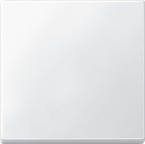 Schneider Electric Merten Wippe für Schalter, System M, polarweiss, Artikelnummer 433119