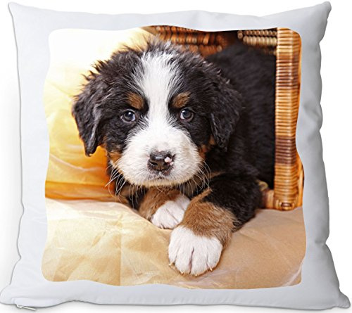 Nanyuk +++ Berner Sennenhund - Kuschelkissen/Kissen | Pillow/Kussen - BNS 03