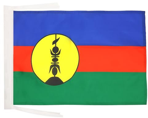 AZ FLAG Drapeau Nouvelle Calédonie 45x30cm - PAVILLON kanak 30 x 45 cm Haute qualité