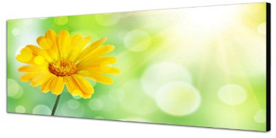 Augenblicke Wandbilder Keilrahmenbild Wandbild 150x50cm Blume Blüte Floral abstrakt