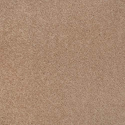247Floors Carpet, Quality Feltback Twist, Mid Beige - 3m x 4m