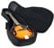 Hola! Heavy Duty A & F Style Mandolin Gig Bag (Soft Case) with 15mm Padding, Black