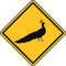 U24 Aufkleber Vorsicht Pfau Autoaufkleber Sticker