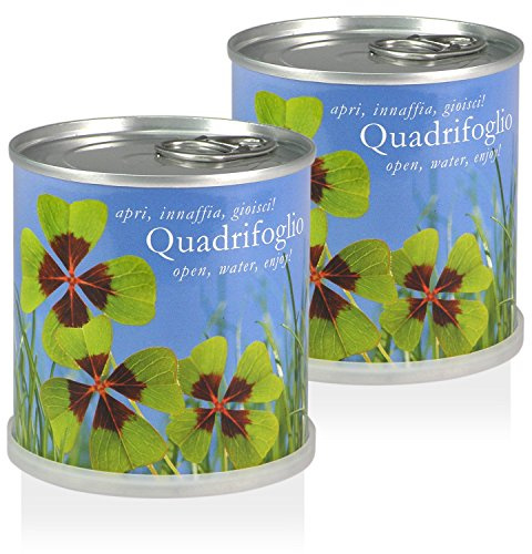 Extragifts - Flores en lata, set de regalo compuesto por 2 latas de tréboles de 4 hojas