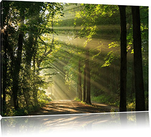 Pixxprint Waldweg im Frühling, Größe: 80x60cm, Leinwandbild, fertig gespannt, Wandbild, Dekoration, Kunstdruck, kein Poster