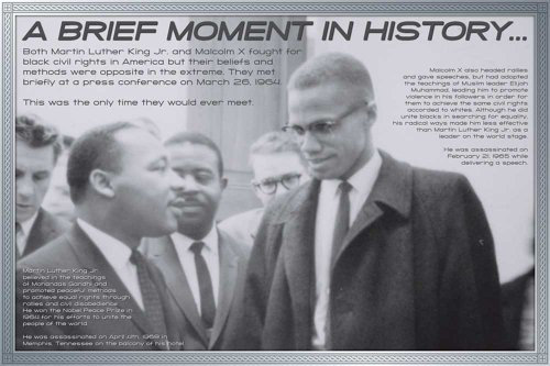 Educational - Bildung Politik - Martin Luther King & Malcolm X Bildungsposter Plakat Druck - Maxiposter Version in Englisch - Grösse 91,5x61 cm