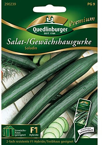 Quedlinburger Saatgut - Gewächshausgurken Saladin Samen